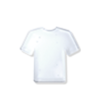 Icon tee shirt
